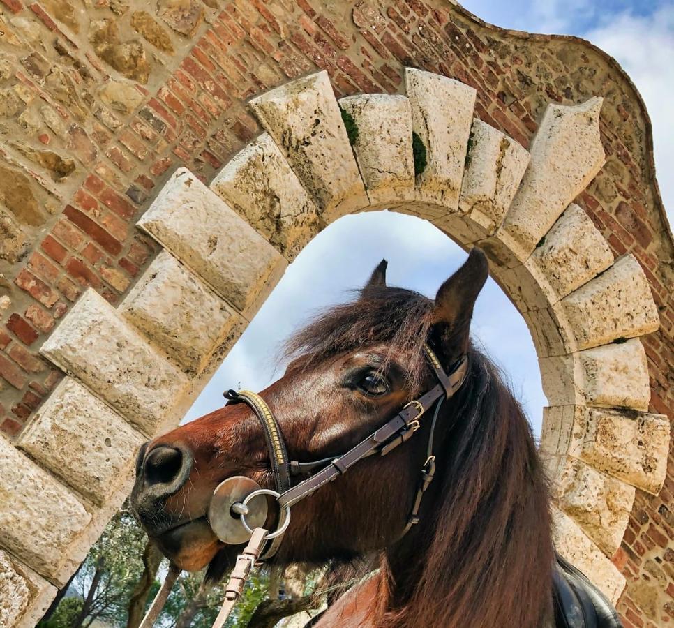 Tenuta I Mandorli Peccioli Εξωτερικό φωτογραφία